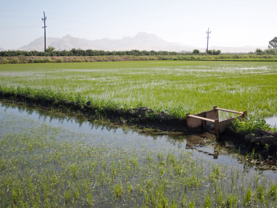 2025 Water Quality Monitoring Start