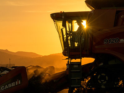 Requirement to plant certified or QA seed