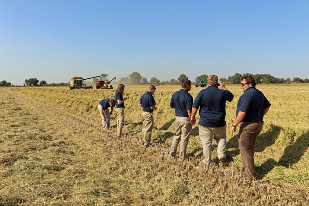 Application Period underway for 2020 Rice Leadership Program