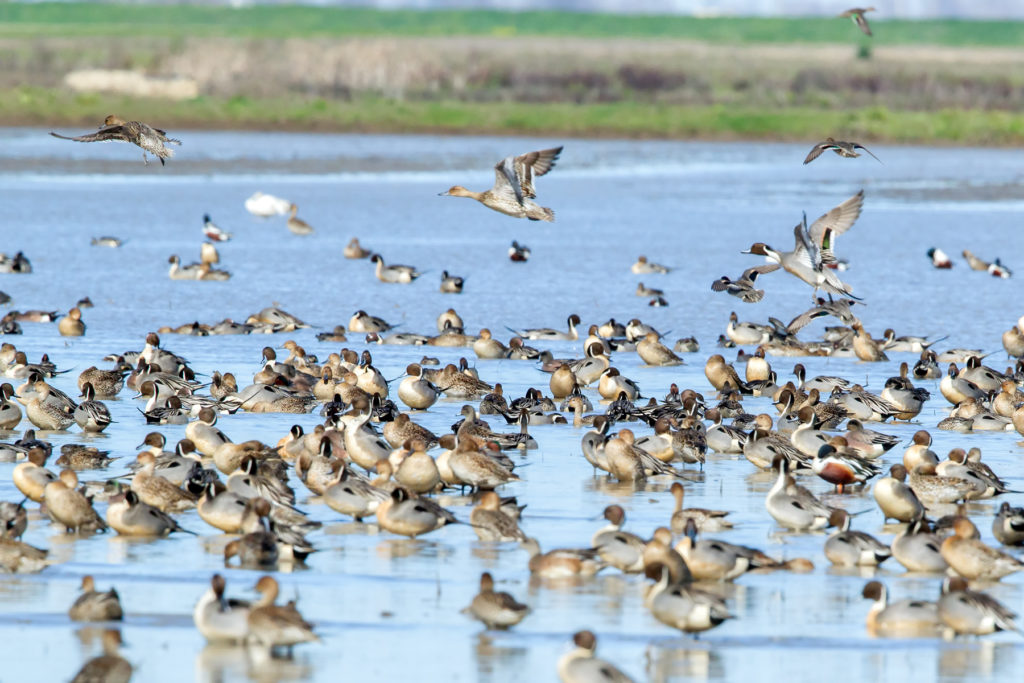 Conservation Programs Workshop planned September 5