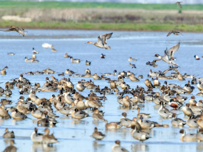 Conservation Programs Workshop planned September 5