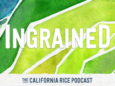 California Rice Podcast launches