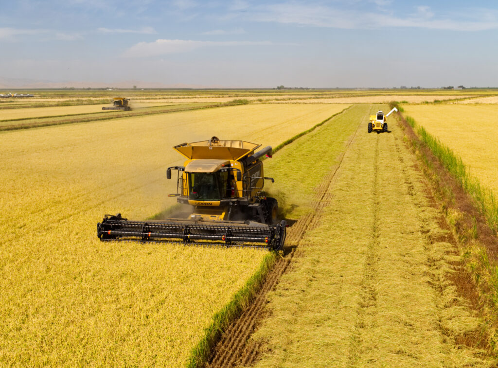 More Images available in Industry Photo&nbsp;Library