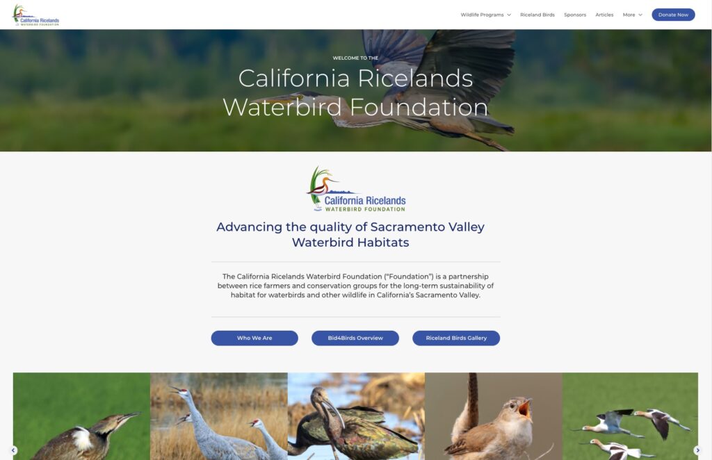 New and Improved Foundation Website