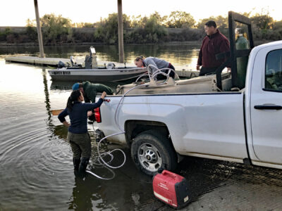 Important Progress made in Pilot Salmon Project