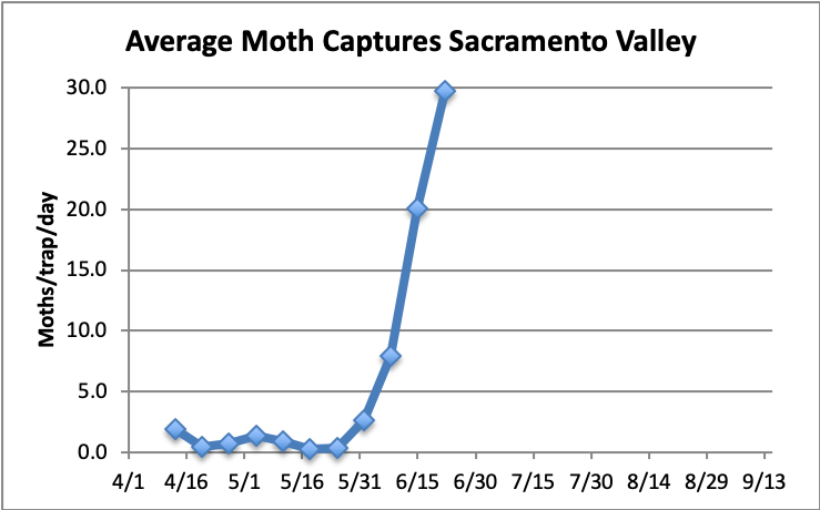 avg moth captures, sacramento valley 4/1-6/15