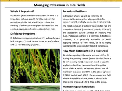 New Rice FactSheets now available