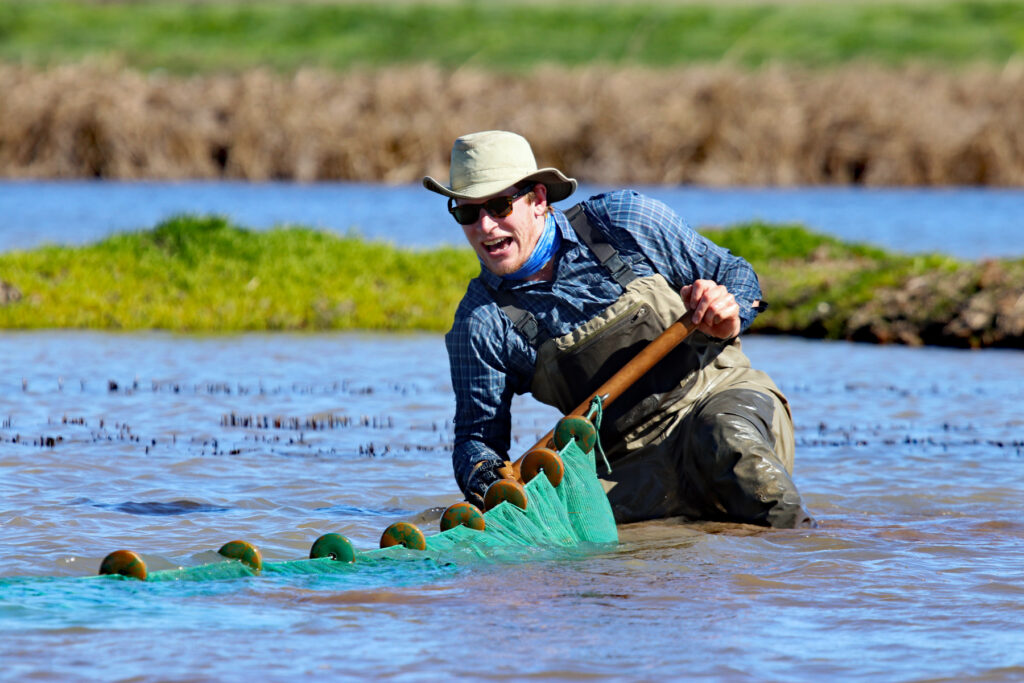 CRC Pilot Salmon Project Yields Great Results