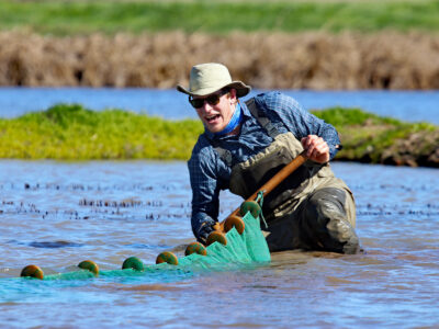 CRC Pilot Salmon Project Yields Great Results