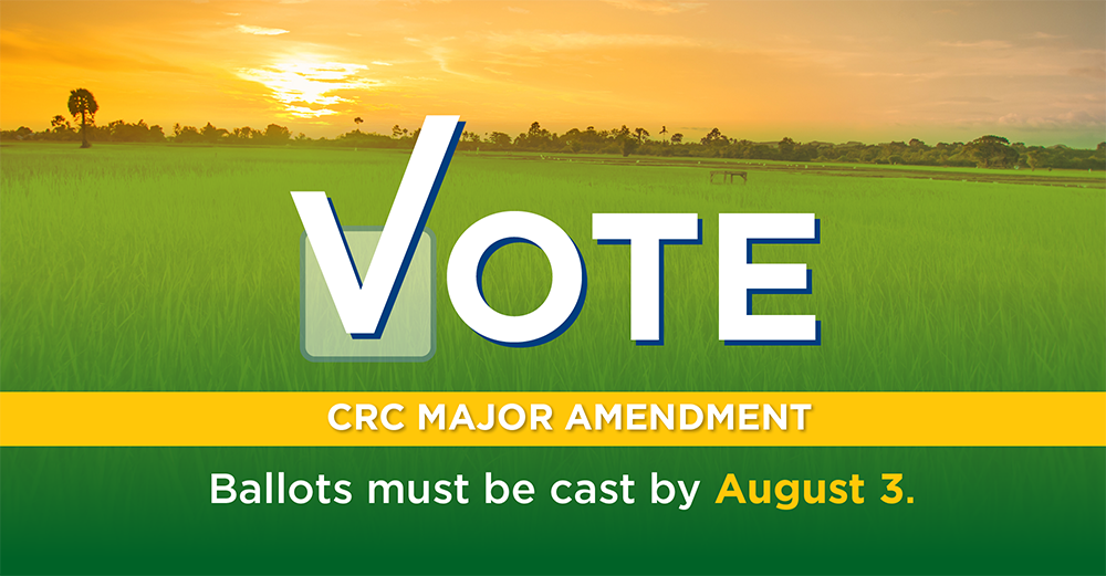 LAST Chance to Vote!