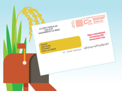 Find this Envelope and Vote!
