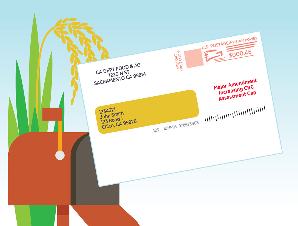 Find this Envelope and Vote!