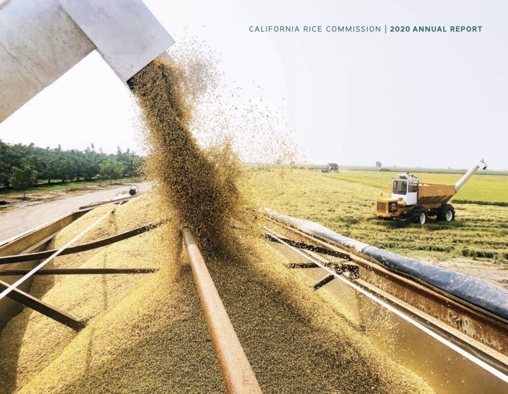 Report Highlights Our Industry’s Essential Role