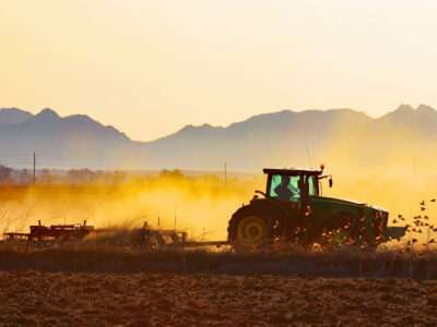 Happening Next Week: UCCE Rice Grower Meetings