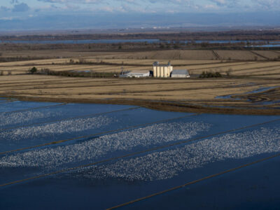 Conservation Program Workshop this Week!