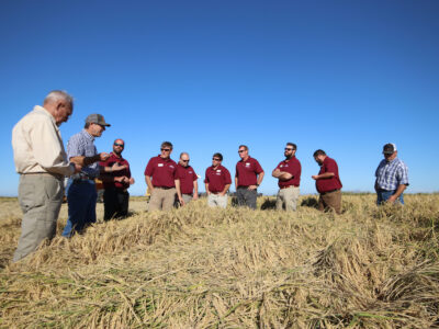 Applications Now Open for Rice Leadership Development Program