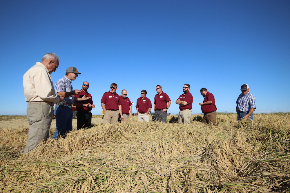 Applications Now Open for Rice Leadership Development Program