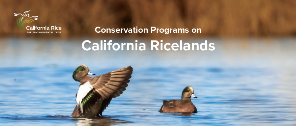 Conservation Workshop Summary