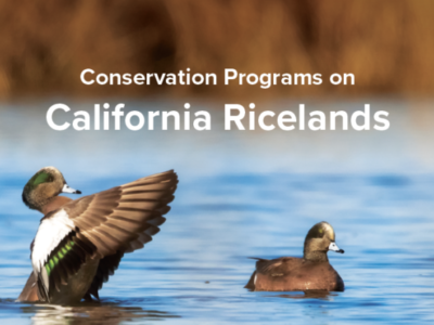 Conservation Workshop Summary