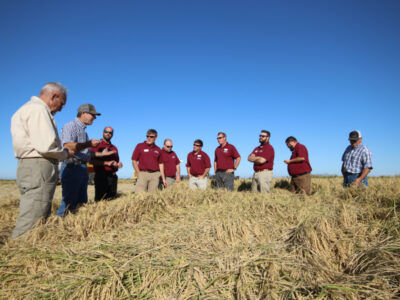 <strong>Final Days to Apply for Rice Leadership Development Program</strong>