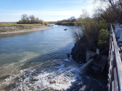 New Fish Food Program Applications Open Now