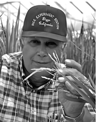 Carl Johnson Obituary and Live Stream Link