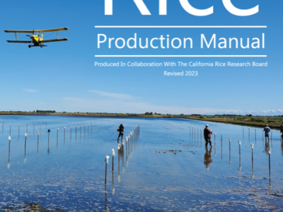 Newly Released 2023 Rice Production Manual