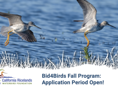Applications Now Open for Fall Bid4Birds