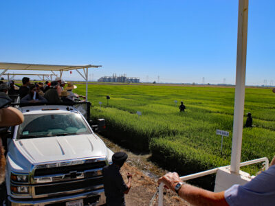 Rice Field Day – August 30