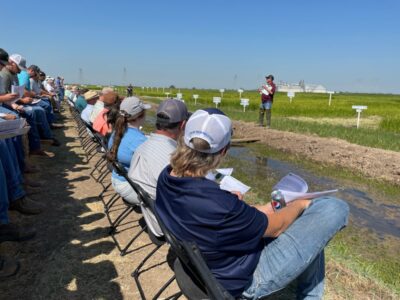 CA Rice Industry Award Winner Announced at Annual Rice Field Day