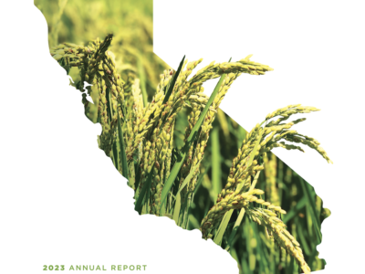 CRC Digital Annual Report Available Now
