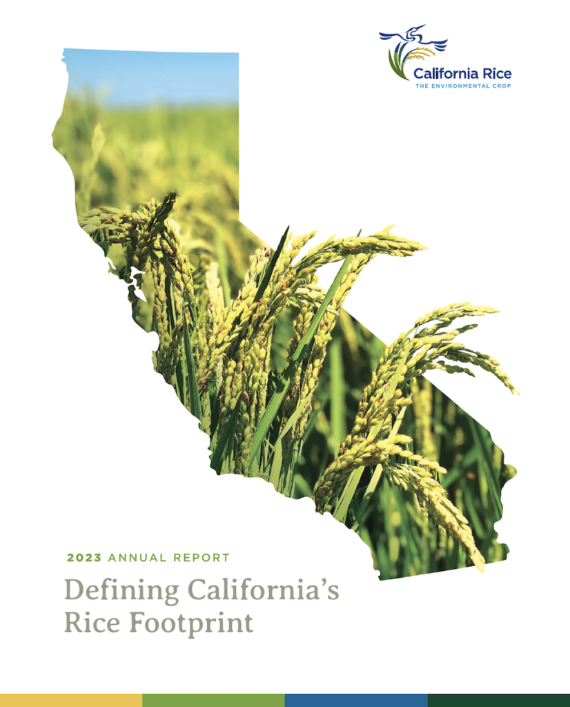 CRC Digital Annual Report Available Now