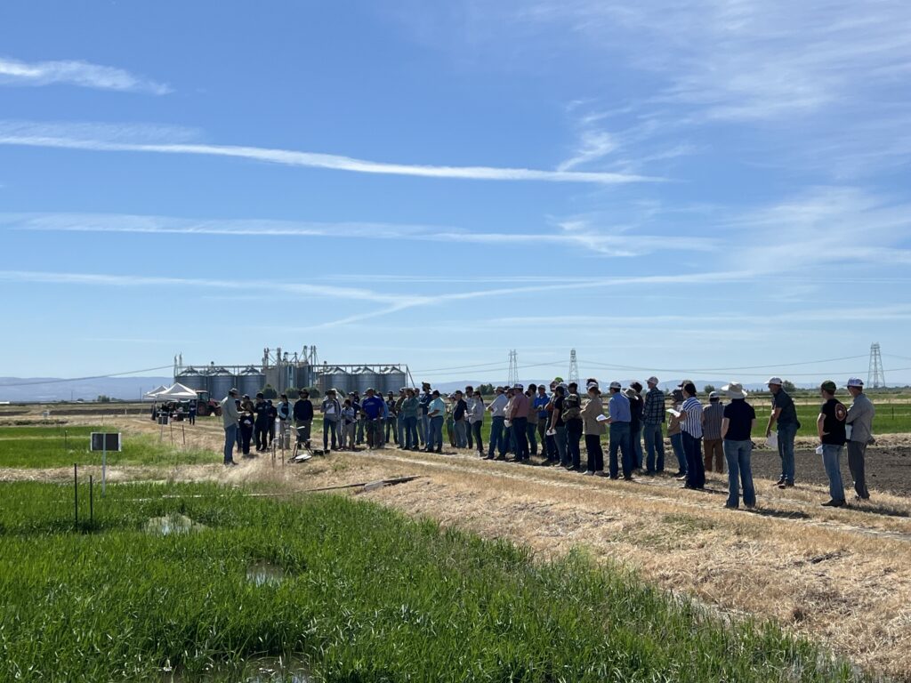 The No-Till Rice Field Day