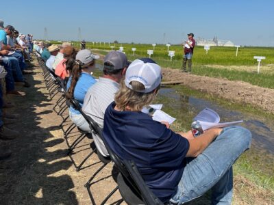 Rice Field Day – Next Week