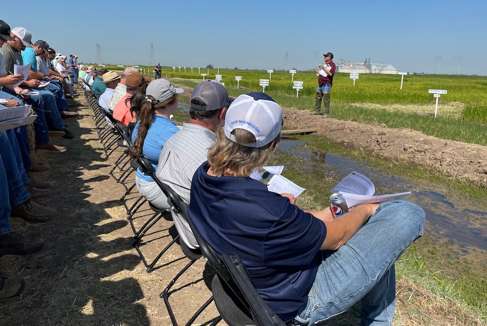 Rice Field Day – Next Week