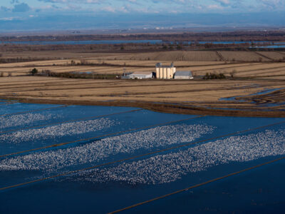 Winter Flooding Programs Update