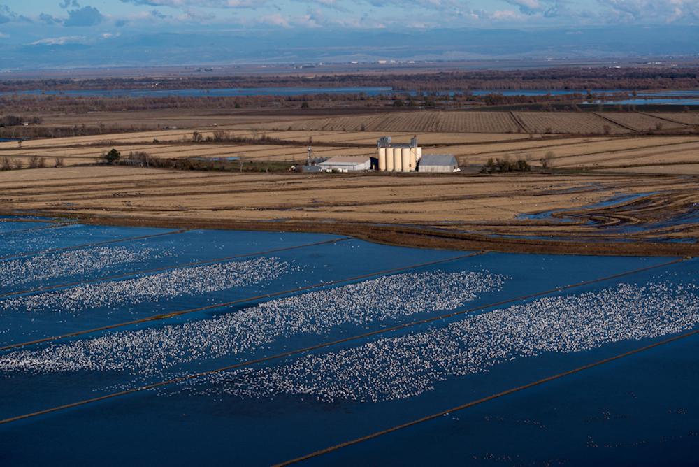 Winter Flooding Programs Update