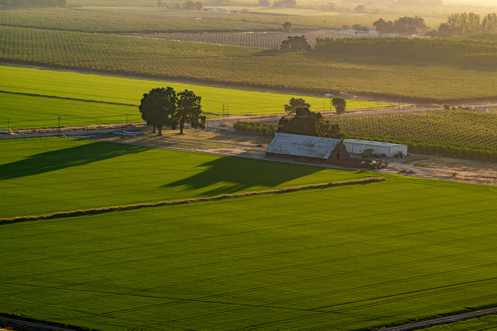 CRC Grower Meetings – January 15