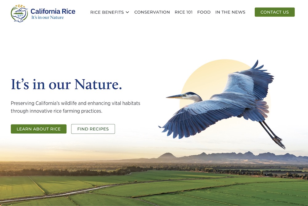The new CalRice.org website has launched!