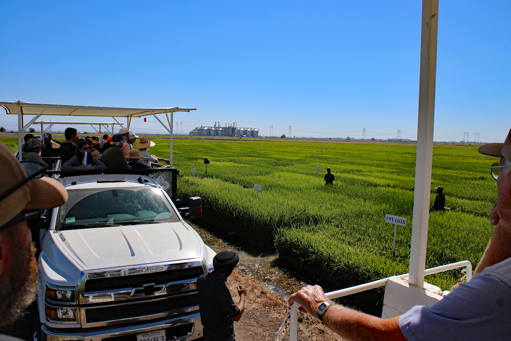 Rice Field Day – August 27