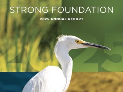 2025 CRC Digital Annual Report Now Available