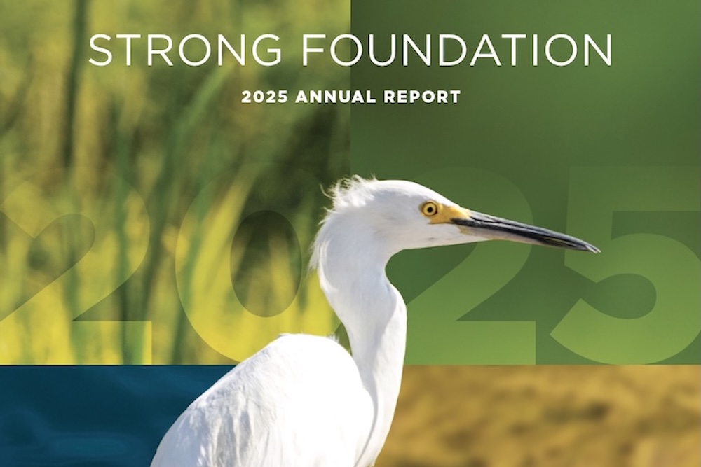 2025 CRC Digital Annual Report Now Available