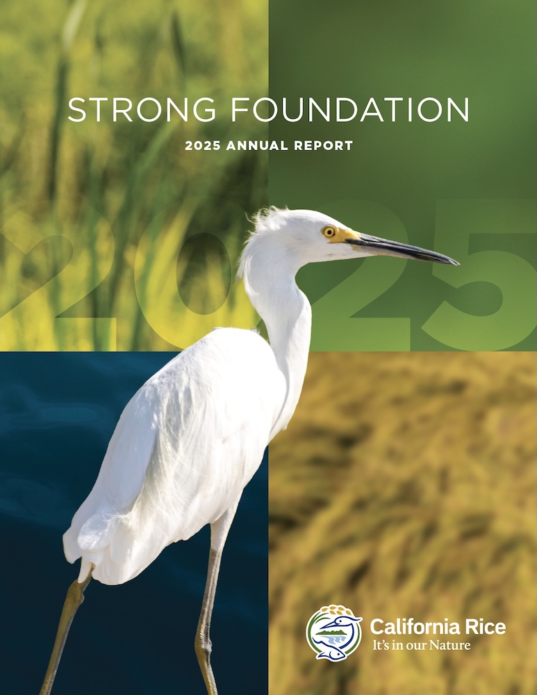 2025 annual report cover